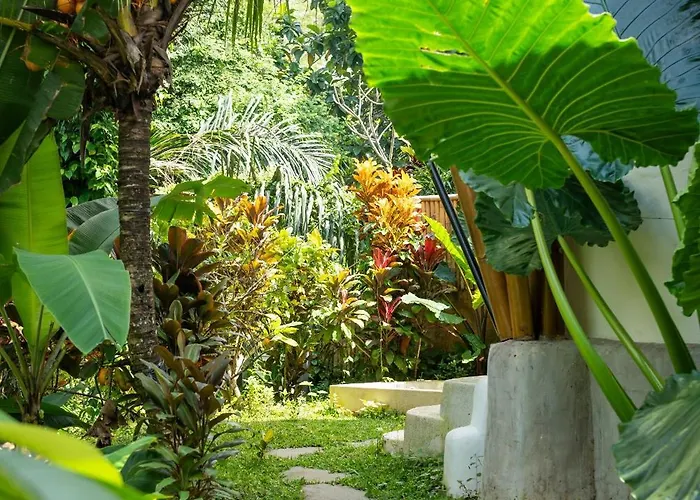 Leon, - The Bamboo Dream Villa *